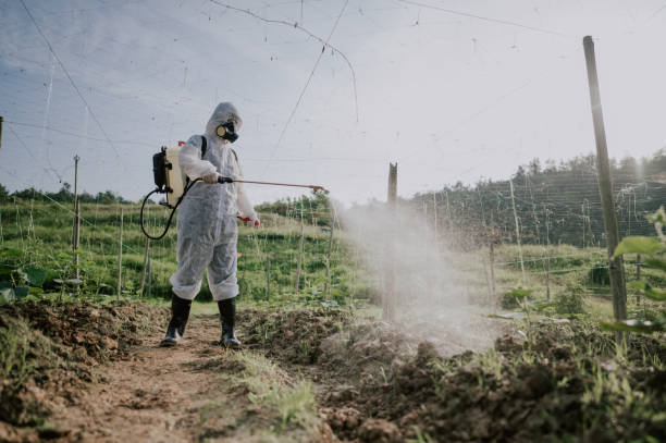 Best Best Pest Control Companies  in Village Of Waukesha, WI