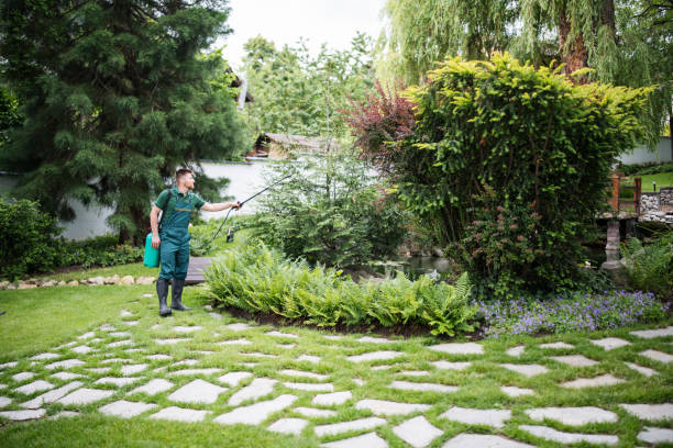 Best Ant Control Services  in Village Of Waukesha, WI