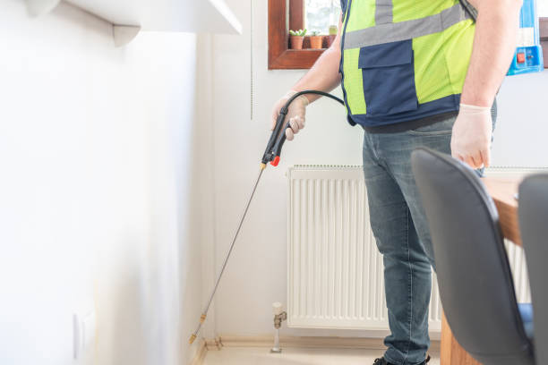 Wasp Removal Services in Village Of Waukesha, WI
