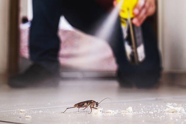 Best Exterminator Services  in Village Of Waukesha, WI