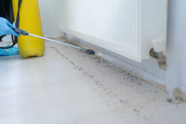 Best Affordable Pest Control Services  in Village Of Waukesha, WI
